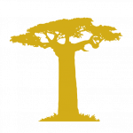 Favicon de Baobag