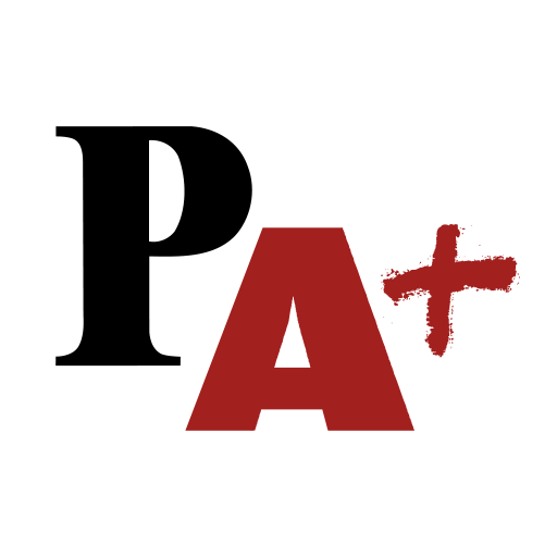 Favicon de El Punt Avui