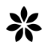 Favicon de Privalia