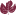 Favicon de Ficària Vins
