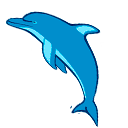 Favicon de Marineland Mallorca