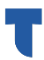 Favicon de Mudances Trallero